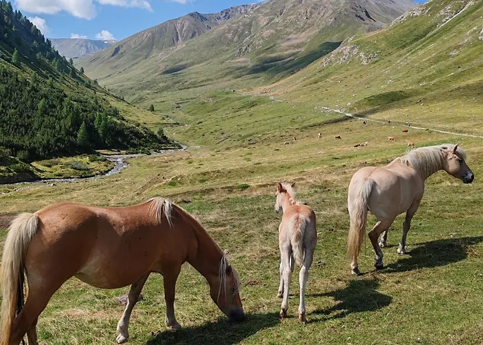 Panorama Horská chata *