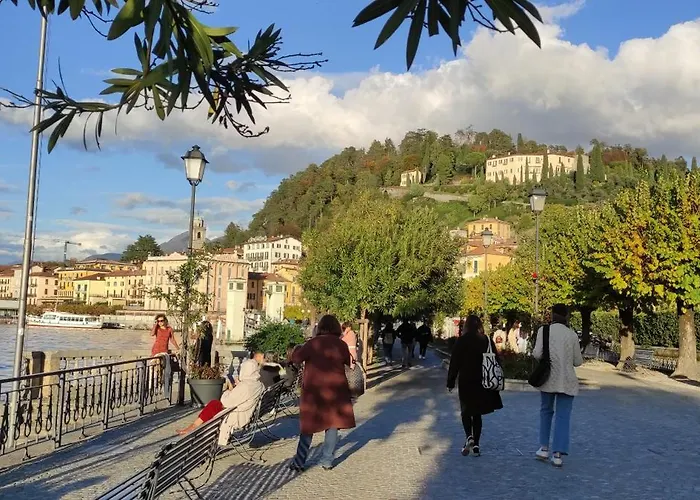 Panorama *
