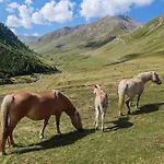 Panorama Horská chata *