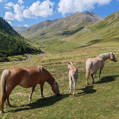 Panorama Chalé *